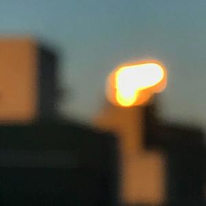 催眠眼镜之三亚孕游最新章节
