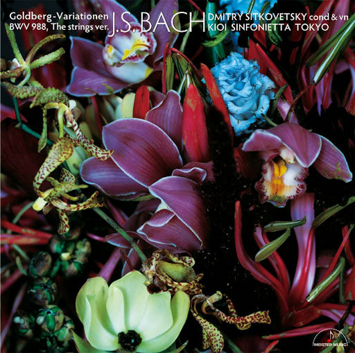 催眠眼镜之三亚孕游最新章节
